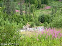 L 60 Cash Creek Recreational, Trapper Creek, AK Image #7511880