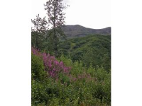 photo for Lot 32 Cache Creek Recreational