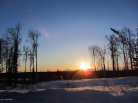 37745 Country Woods Circle, Sterling, AK Image #7512344