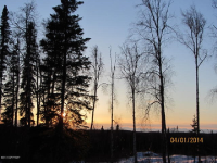 37745 Country Woods Circle, Sterling, AK Image #7512345