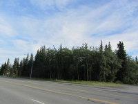 photo for L23-24 Sterling Highway