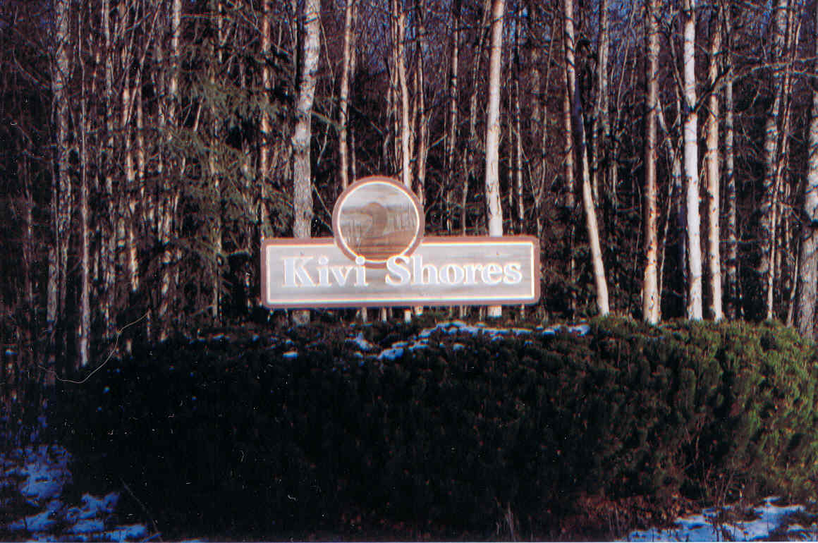 L2 B2 Silverspring Lane, Nikiski, AK Main Image