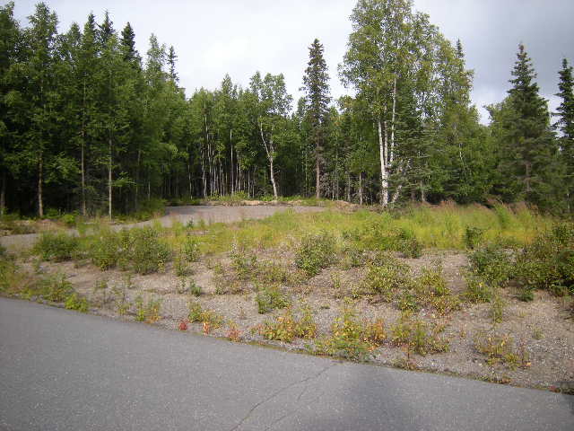L11 B1 Silverspring Lane, Nikiski, AK Main Image