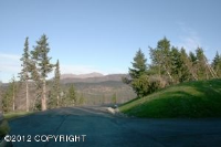 L11 B1 Mountain Breeze Drive, Anchorage, AK Image #8127984