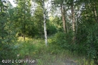 16000 Wind Song Drive, Anchorage, AK Image #8132308