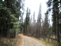 5845 Old Valdez Trail, Salcha, AK Image #8367128