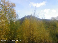 L4A B1 Mountain Road, Chugiak, AK Image #8459030