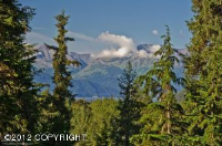 L2 Verbier Way, Girdwood, AK Image #9951822