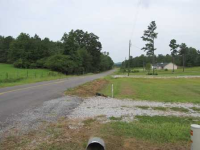 17748 George Hartin Rd, Buhl, Alabama  Image #4680769