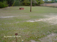 10284 County Road 97, Abbeville, Alabama  Image #6731957