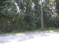 photo for 107 Greenwood Dr Lot#113