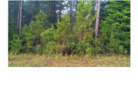 photo for Lot 36 Wilkins Creek Ct