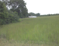 781 Peach Farm Road, Ashford, AL Image #8029546