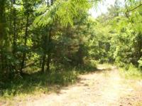 7 Lots & 49.98 Acres Holiday Shores, Abbeville, AL Image #8031659
