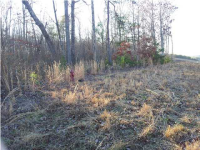 0 Co. Hwy 75, Phil Campbell, AL Image #8166642
