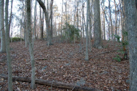 Lot 25 GREY MOSS COVE, Phenix City, AL Image #8458774