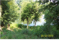 32 Bell Ru Landing, Autaugaville, AL Image #8534898