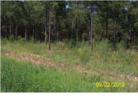 32 Bell Ru Landing, Autaugaville, AL Image #8534915