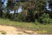 32 Bell Ru Landing, Autaugaville, AL Image #8534914