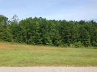 Lot 19 River Bend Heights, Valley, AL Image #8610101