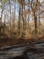 Congress Drive Lot 30, Athens, AL Image #8633774