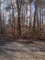 Congress Drive Lot 29, Athens, AL Image #8633783