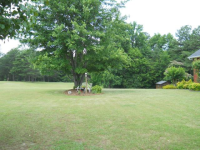 95 COUNTY ROAD 1395, Falkville, AL Image #8634489