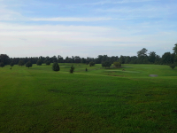 195 Golf Club Drive, Horton, AL Image #8650652