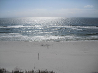 Tradewinds #604, Orange Beach, AL Image #9600534