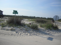 0 Beach Blvd, Gulf Shores, AL Image #9841125