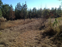 photo for 11350 Private Rd 155