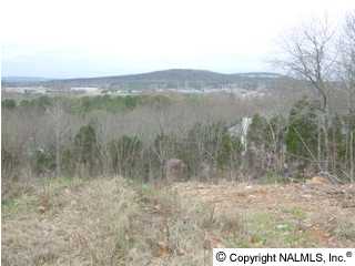 Greentree Trail lot 8/blk 3, Huntsville, AL Main Image