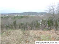 Greentree Trail lot 13/blk 1, Huntsville, AL Image #9845890