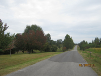 964 Lane Switch Road, Albertville, AL Image #10010528