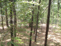 20 Forest Glades Cir, Sherwood, Arkansas  Image #6416631