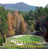 112 Arias Way, Hot Springs Village, Arkansas  Image #6473105