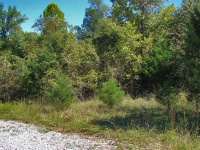 Lot 28 Cr 1084, Midway, AR Image #7576918