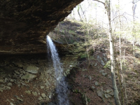 Off CR 4470/Waterfall-Cave, Ozone, AR Image #7578327