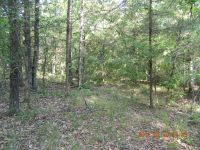 40 acres off Hwy 164, Hagarville, AR Image #7579992