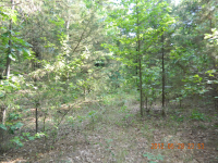 40 acres off Hwy 164, Hagarville, AR Image #7579982