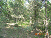 40 acres off Hwy 164, Hagarville, AR Image #7579993