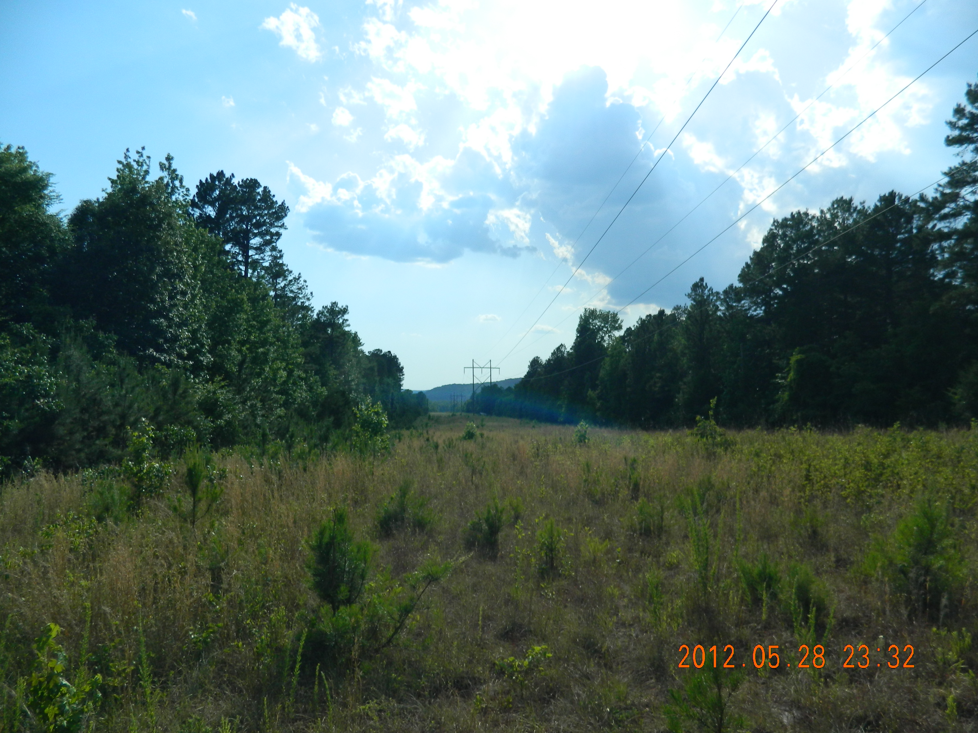 20 acres Off Hwy 164, Hagarville, AR Main Image