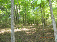 20 acres Off Hwy 164, Hagarville, AR Image #7580005