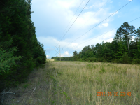 20 acres Off Hwy 164, Hagarville, AR Image #7580009