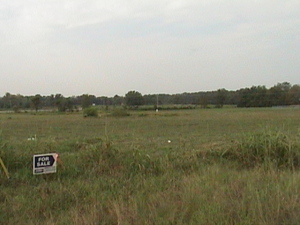 Lot 2 Whitford Rd, Dardanelle, AR Main Image