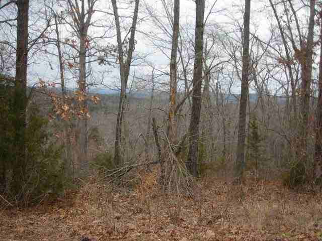 Lot 302 Baypoint Drive Dr, Mountain Home, AR Main Image