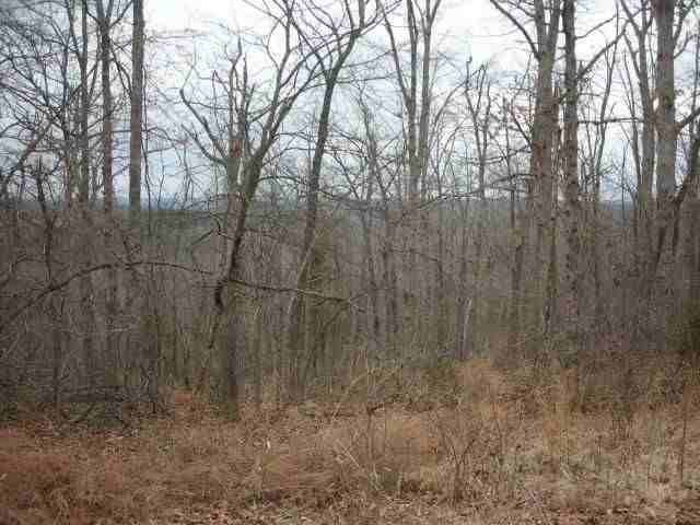 Lot 303 Baypoint Drive Dr, Mountain Home, AR Main Image