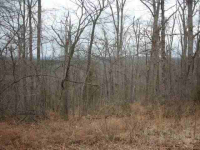 photo for Lot 303 Baypoint Drive Dr