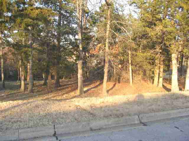 Lot 9 Leatherwood Drive, Mountain Home, AR Main Image