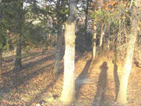 Lot 9 Leatherwood Drive, Mountain Home, AR Image #7592615